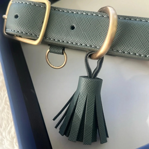 Southern Living Vegan-Leather Dog Collar Teal-Blue w/ Tassel Gold HW NWT - Picture 3 of 14